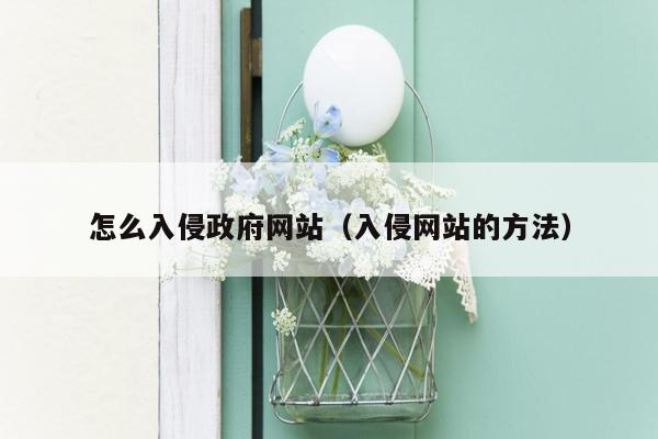 怎么入侵政府网站（入侵网站的方法）