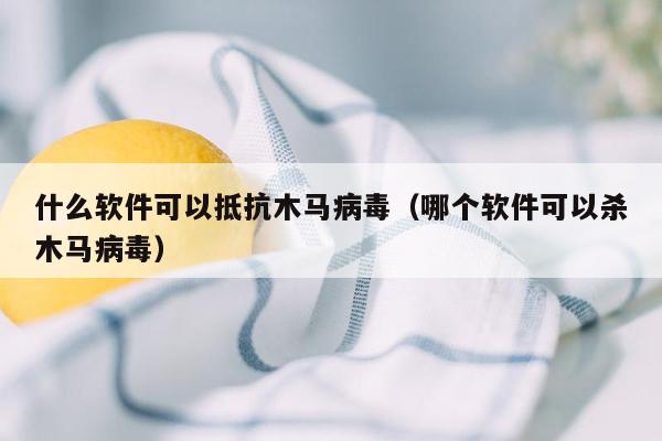 什么软件可以抵抗木马病毒（哪个软件可以杀木马病毒）