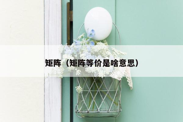 矩阵（矩阵等价是啥意思）