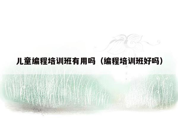 儿童编程培训班有用吗（编程培训班好吗）