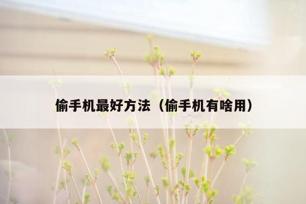 偷手机最好方法（偷手机有啥用）