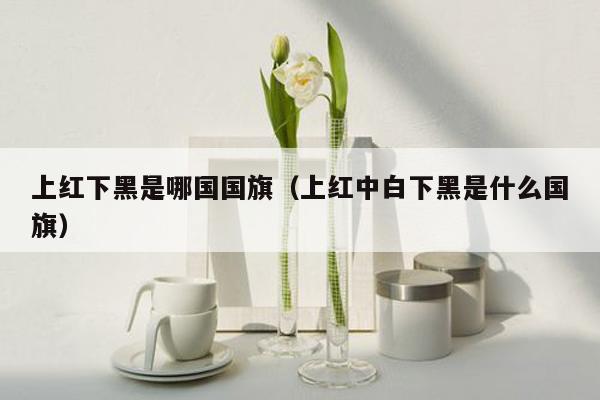 上红下黑是哪国国旗（上红中白下黑是什么国旗）
