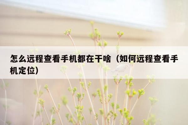 怎么远程查看手机都在干啥（如何远程查看手机定位）