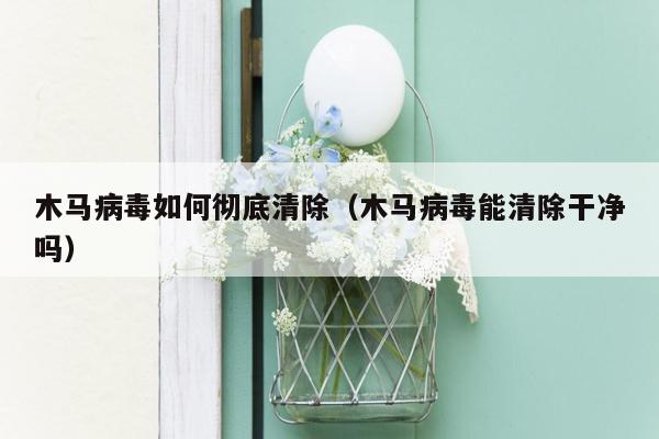 木马病毒如何彻底清除（木马病毒能清除干净吗）