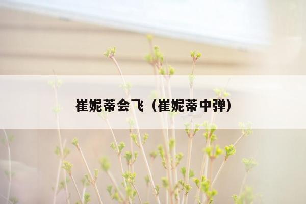 崔妮蒂会飞（崔妮蒂中弹）