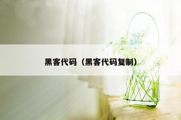 黑客代码（黑客代码复制）