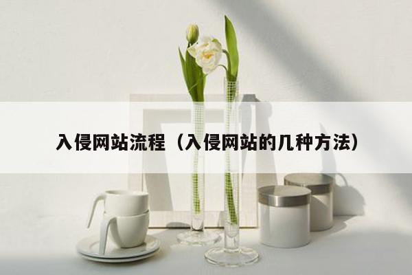 入侵网站流程（入侵网站的几种方法）