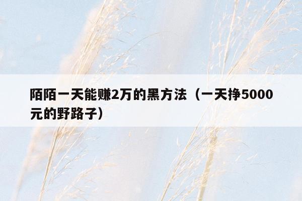 陌陌一天能赚2万的黑方法（一天挣5000元的野路子）