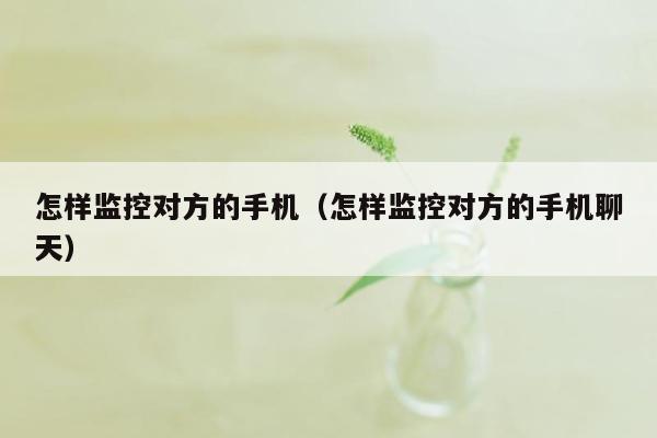 怎样监控对方的手机（怎样监控对方的手机聊天）