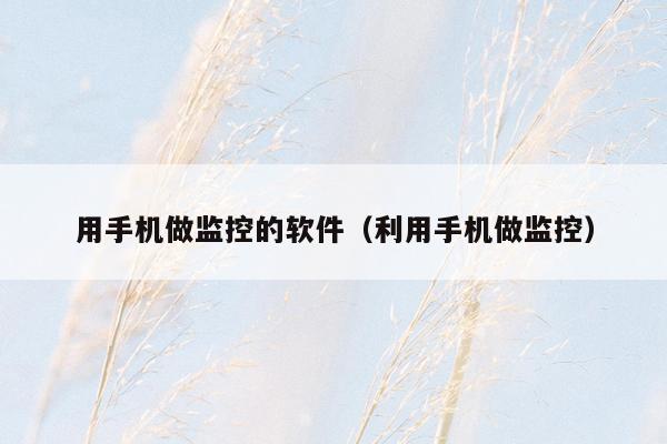 用手机做监控的软件（利用手机做监控）