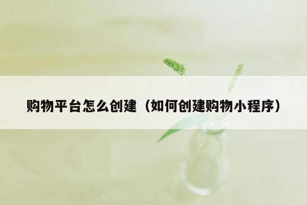 购物平台怎么创建（如何创建购物小程序）