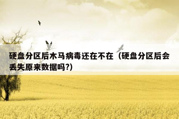 硬盘分区后木马病毒还在不在（硬盘分区后会丢失原来数据吗?）