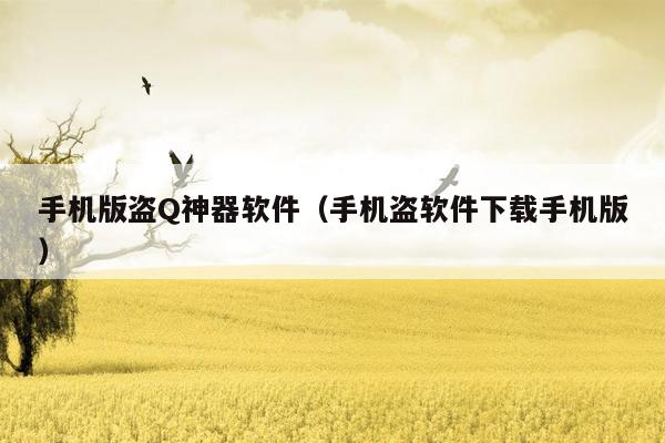 手机版盗Q神器软件（手机盗软件下载手机版）