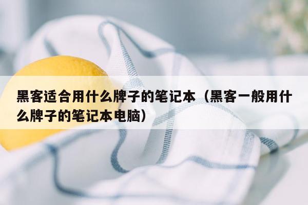 黑客适合用什么牌子的笔记本（黑客一般用什么牌子的笔记本电脑）